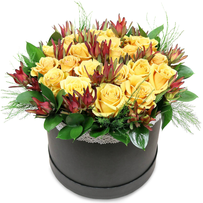 The photograph shows a luxurious, contemporary floral hatbox arrangement positioned against a crisp white background, every detail clearly visible. The container is a round, matte black hatbox, its dark surface sleek and understated, acting as a strong visual base for the cascade of colour above. Filling the hatbox is a lush mass of golden yellow roses, arranged in a perfect dome that seems to hover just above the rim. There are around two dozen blooms, some fully open with broad, velvety petals layered in generous spirals, others just beginning to unfurl, their centres still tight and full of promise. The colour of the roses ranges from deep sunflower gold at the heart to softer, buttery yellow toward the outer petals, creating a subtle gradient that suggests warmth and comfort, like late afternoon light filtering over gardens near New Barnet station. Threaded throughout this sunlit canopy are striking stems of leucadendron, likely 'Safari Sunset', in rich burgundy and maroon tones. Their pointed, elongated bracts rise like slender flames, each tip a deep reddish-brown that gradually shifts to muted green at the base. These sculptural elements introduce texture and drama, contrasting with the rounded, plush roses while still harmonising with the overall palette. Encircling the base of the flowers, broad, glossy green leaves-similar to salal-form a supportive collar, catching the light with a reflective sheen. Finer, feathery foliage spills gently over the edges, light green and airy, softening the silhouette and giving the impression of movement. Just beneath the blooms, a fine band of white lace trims the top of the hatbox, its pattern delicate and slightly nostalgic, echoing vintage details one might find in older homes off Victoria Road. The arrangement feels meticulously crafted and wonderfully versatile-equally suited to a birthday surprise, a congratulatory delivery to an office in New Barnet, or a cheerful, modern centrepiece on a family table.