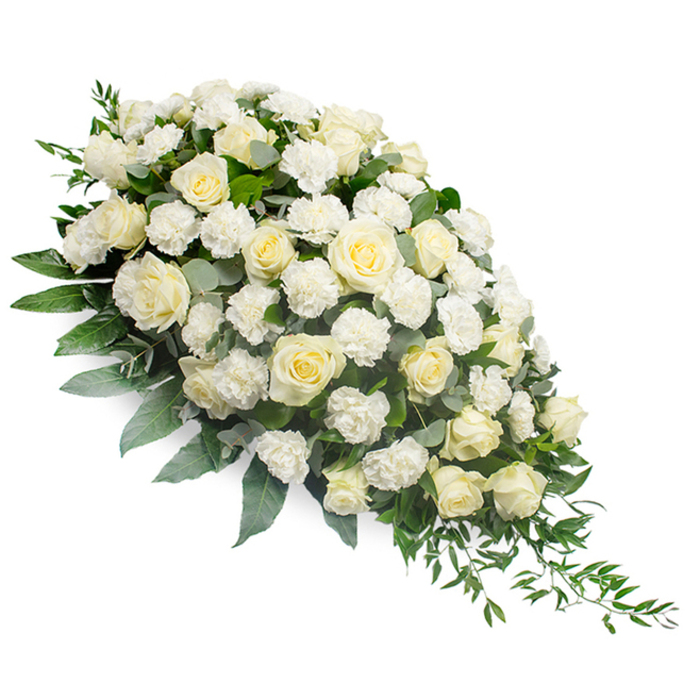 Displayed against a spotless white background, a luxurious white sympathy spray stretches diagonally in a graceful crescent, evoking the quiet reverence of a New Barnet farewell. The composition is heaviest at the upper left, where layers of pristine white and creamy ivory roses form a lush focal point. Some blooms are just beginning to open, their outer petals cupping protectively around the centre, while others are fully unfurled, showing off detailed spirals that feel almost sculpted. Nestled between these roses are clusters of frilly white carnations, their fine, ruffled petals adding depth and softness, like small clouds resting among larger blooms. The entire arrangement rests on a rich bed of foliage: cool-toned eucalyptus in silvery green winds gently through the flowers, while broader, darker leaves and glossy greenery provide a strong, supportive base. From the tapered lower right tip of the spray, trailing fronds of ruscus and similar slender greens arc outward, emphasizing the elongated, teardrop silhouette and giving the impression of gentle movement, as if the flowers are quietly cascading. The even lighting highlights every texture-the smoothness of rose petals, the delicate frill of carnations, the matte and glossy contrast of the leaves-without distraction. This dignified design could easily be imagined adorning a casket at a New Barnet funeral service, resting in a chapel near Hadley Highstone, or accompanying a memorial gathering by a local cemetery. It conveys a message of purity, respect, and enduring love, the kind of thoughtful arrangement an experienced local team like Flowers New Barnet would create to honour a life with grace and compassion.