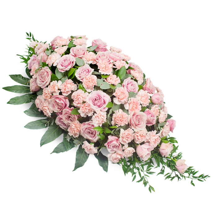 Set against a clean white backdrop, this lush sympathy spray stretches diagonally across the frame, shaped as a graceful teardrop with its fullest point at the upper left and a delicate, tapering tip towards the lower right. The composition is dominated by numerous soft pink roses, some fully unfurled with layered, velvety petals, others partially open, their centres still holding a hint of tightness that adds depth and variety. Nestled among them are ruffled light peach-pink carnations, their frill-edged petals creating ripples of texture that fill every small gap and give the arrangement a luxuriously full appearance. The pastel tones blend seamlessly-blush, dusty rose, and gentle peach-forming a soothing, harmonious blanket of colour. Supporting this is a generous foundation of dark green foliage: broad, slightly glossy leaves provide a sturdy frame along the base, while more slender, elongated leaves and dainty sprigs of greenery arc and trail from the sides and pointed end, adding movement and a natural, garden-like feel. There is no container visible; the design is clearly intended to rest flat as a casket spray or laid beside a remembrance book or framed photograph. The lighting is soft and neutral, illuminating each bloom and leaf without glare, making the intricate details and subtle colour variations easy to distinguish. This elegant tribute would feel perfectly at home in a quiet New Barnet chapel or funeral service near Victoria Park, expressing compassion and gentle remembrance. Crafted with local expertise from Flowers New Barnet, it captures the tenderness of farewell and the enduring warmth of shared memories.