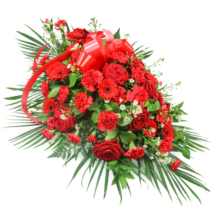This impressive red funeral spray, displayed on a clean white background, has the look of a carefully composed tribute designed in a New Barnet workshop, its elongated silhouette gracefully tapering from a full, luxuriant top to a softer point at the base. At the centre, generous clusters of red roses command attention, some blooms tightly furled and others fully open, revealing layers of rich, velvety petals that suggest devotion and deep affection. Nestled among them, red carnations offer a plush, ruffled texture, their many frilled petals forming a cushion of colour that contrasts beautifully with the smooth elegance of the roses. Interspersed throughout are red gerbera daisies, their bold, flat faces and darker central discs creating a modern, graphic note within the otherwise classic composition. Between the dominant reds, small airy tufts of white filler flowers-possibly baby's breath or fine chrysanthemums-sparkle softly, providing visual breathing space and making the crimson tones appear even more intense. A striking red satin ribbon crowns the upper portion of the spray, tied into a full bow with long streamers that tumble gracefully through the arrangement, echoing the flow of the foliage. Surrounding the blooms, glossy dark green leaves and long palm fronds extend outward, framing the flowers with sweeping lines that give the piece its characteristic one-sided spray profile, perfect for resting against a casket or easel. Delicate fern-like fronds peek through, adding texture and movement along the edges. This refined composition, ideal for a funeral at a crematorium or church around New Barnet, perhaps near Victoria Park or Brunswick Park, speaks of honour, remembrance, and the strength of enduring love.