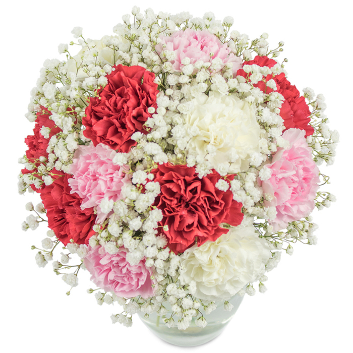 An exuberant bouquet crafted in New Barnet, this arrangement showcases the signature charm of local floristry beside the community's leafy avenues. Atop a gleaming, rounded glass vase, you'll find a densely packed sphere of carnations-boldly coloured in ruby red, soft rose pink, and creamy white. Each carnation is generously ruffled, their layered petals forming a luxurious texture that draws the eye from every angle. The entire bouquet is interspersed with clouds of pristine white baby's breath, its infinitesimal blossoms lending a dreamy, lace-like air that beautifully offsets the vibrant carnations. The artistry of arrangement here is clear: colours are meticulously balanced and the spherical composition evokes a sense of unity and abundance, much like the communal spirit so cherished in New Barnet. Subtly glimpsed through the glass, the stems rest in crystal-clear water, infusing the arrangement with vitality and freshness found at the local farmer's market each weekend. Illuminated under bright, natural lighting and set against a stark white backdrop, each element stands out in perfect clarity. This bouquet exists for moments of love, joy, and meaningful connection-suitable for anniversaries, Mother's Day, or simply to honour a special friend in New Barnet. It's a vessel of warmth, crafted by local hands for cherished local hearts.