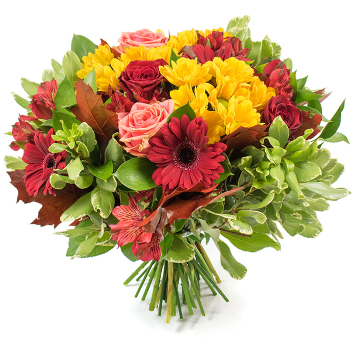 Rendered against a stark white plane, this generous hand-tied bouquet feels like an autumn landscape captured in floral form. Deep, velvety red roses and bold gerbera daisies - their broad petals radiating from darker centers - form the visual backbone, imbuing the arrangement with depth and a sense of classic romance. Scattered amid these anchors are bright sprays of small yellow chrysanthemum-like flowers that glow like late-afternoon sunlight, creating a lively textural counterpoint to the darker tones. Soft coral and blush roses weave through the composition, their gentle hues easing transitions between the intense reds and the sunny yellows. Delicate alstroemeria in red-orange tones add slender, patterned petals that create small pockets of visual intrigue and motion. A rich assortment of foliage supports the blooms: glossy deep-green leaves provide weight, while paler, variegated greens introduce breath and contrast; several large, reddish-brown, lobed leaves - reminiscent of oak or maple picked at the peak of fall - are intentionally placed to emphasise the seasonal story. The stems are carefully gathered and tied, the neat bundle of green stalks visible at the base as the bouquet rests on the white surface, a hallmark of professional hand-tying. Bathed in gentle, natural light, the petals appear tenderly luminous and textured. As a neighbourhood arrangement suited to the area around New Barnet - from Station Road to the quieter residential lanes - it reads as an unfussy, warming choice for Thanksgiving, harvest gatherings, or a considerate seasonal gift to a friend or neighbour.