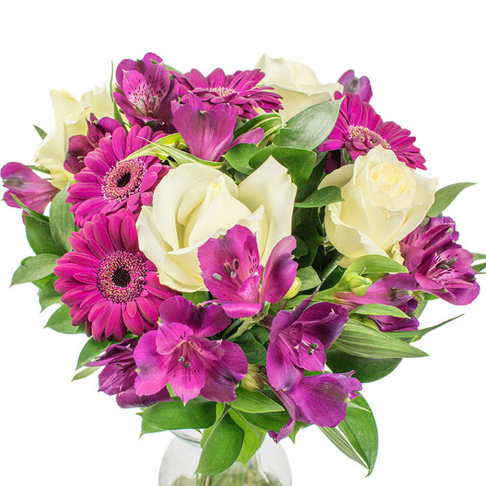 A professionally assembled, vibrant round bouquet photographed on a stark white background, the arrangement reads as both abundant and refined. Several creamy white roses sit prominently, their petals tightly coiled at the centres and unfurling in soft concentric layers that give the bouquet a classic romantic anchor. Counterbalancing these are at least three deep magenta Gerbera daisies-their broad, fuchsia petals and dark, almost-black discs creating bold, joyful focal points that draw the eye. Interspersed liberally are clusters of purple and fuchsia Alstroemeria (Peruvian lilies), each with slender, trumpet-like petals and subtle speckling that introduces an exotic, textured rhythm through the composition. The greenery is generous and varied-rich dark leaves, some with lighter veins or variegation-providing a verdant frame that enhances the luminosity of the blooms and sculpts the bouquet into a full, luxurious dome. A clear glass vase peeks from the bottom, simple and transparent, letting the flowers remain the true focus. The lighting is clean and neutral so colours read saturated yet natural, making this arrangement suitable for occasions from anniversaries and family gatherings to heartfelt thank-you gestures. As Flowers New Barnet, we often recommend this colourway for clients delivering joy across New Barnet High Street, to homes around Monken Hadley or to small celebrations near Victoria Recreation Ground-the bouquet feels both contemporary and timeless, crafted to communicate warmth and thoughtful attention to seasonal freshness.