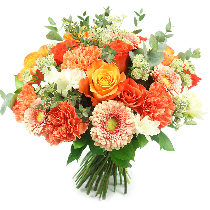 Presented upright against a bright white background, this luxuriant hand-tied bouquet offers a rich study in warm colour, texture and expert floral balance - the kind of arrangement a local Barnet florist would create for an important celebration. The visual weight is held by several prominent roses in shades from molten orange to clear golden yellow, petals unfolding in dense spirals that form elegant focal points. Coral and deep-orange carnations nestle closely around the roses, their multi-layered, frilled petals creating soft volume and a sensuous, tactile contrast. Scattered among these are peach-toned gerbera daisies with flat, open faces and slightly recessed yellow-green centers, introducing a graphic, joyful element to the composition. Tiny white accent blossoms - perhaps freesia or small spray flowers - lift the warmth with crisp highlights, while pale-green, airy clusters that recall astrantia provide delicate, starry texture. The bouquet's greenery is generous and thoughtfully placed: round, silvery eucalyptus leaves with their muted grey-green hue give the piece an organic, modern edge and a cooling counterpoint to the warm blooms. The stems are tightly gathered and tied at the base, evidencing careful hand-tying technique and ready for a vase or to be carried into a room. Bathed in soft, natural light, the arrangement suggests the scent of roses mingled with the clean, herbal note of eucalyptus and conveys feelings of joy, gratitude and refined celebration. Ideal for autumn gatherings, milestone birthdays, or as a statement centerpiece for a home near Barnet High Street or Brunswick Park, this bouquet combines seasonal charm with professional floral craft.