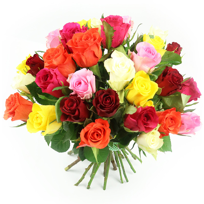 A generous dome of multi-coloured roses appears to almost overflow the frame, set against a crisp white background that showcases every hue, as though it has just been finished on a workbench in a New Barnet florist studio. The bouquet looks hand-tied, with thirty to forty roses gathered tightly together to create a plush, rounded silhouette. Deep crimson and burgundy roses lend a classic romantic richness, while bold fuchsia and magenta blooms pulse with energy. Soft blush pink roses nestle gently between them, easing the transition into sunny yellows, amber tones, and bright tangerine oranges that bring a cheerful, uplifting glow. Creamy white and ivory roses are scattered throughout, adding light and a sense of calm to the more vivid shades. Each bloom displays its characteristic layered petals, some spiralling open in full, cup-shaped flowers, others still partially budded, suggesting a bouquet that will continue to evolve over the next few days in a New Barnet living room or office. Dark green foliage, glossy and healthy, peeks from between the roses and gathers more densely at the base, giving depth and structure, like a hint of the tree-lined streets near East Barnet Village. At the bottom of the image, long green stems are shown neatly clustered and bound with a green and white gingham ribbon, the check pattern lending a relaxed yet traditional touch, as if tied by an experienced local florist from Flowers New Barnet. Soft, even lighting enhances the fresh textures of the petals and leaves, casting gentle shadows that underline the bouquet's fullness and hand-crafted character, perfect for occasions of love, gratitude, and joyful celebration.