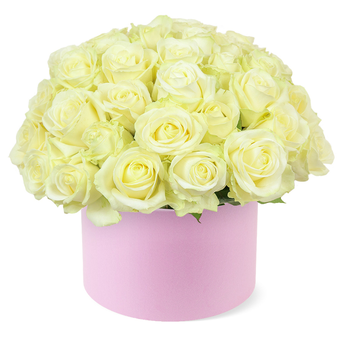 A round pastel pink hat box brimming with roses is the sole focus of this image, capturing a moment of still, luxurious beauty. The flowers form a full, domed crown that extends generously beyond the rim of the box, composed entirely of cream and pale ivory roses with occasional hints of buttery, pastel yellow at their centres. Each rose is at its peak, either fully open or just unfurling, displaying tightly layered petals that curl softly outward in classic, romantic spirals. The blooms are arranged so closely together that almost no gaps are visible, creating a plush, cloud-like surface that seems soft enough to sink into. A narrow ring of fine green foliage can be seen just beneath the blooms, encircling the base like a subtle frame and adding a touch of fresh garden vibrancy. The cylindrical hat box is a gentle, powdery pink, finished in a smooth, matte texture that looks velvety to the touch, its minimal design giving the arrangement a modern, designer feel. This simple elegance reflects the refined style often requested by couples celebrating anniversaries at home in New Barnet or hosting intimate dinners near local parks and leafy avenues. The background is a clean, bright white with even lighting, ensuring there are no distractions from the delicate play of cream, ivory, and blush tones. Every detail-from the way the petals catch the light to the perfectly rounded outline of the dome-speaks of careful craftsmanship by a skilled florist, capturing the quiet luxury of a hat box rose arrangement ready to be delivered as a heartfelt gesture within New Barnet.