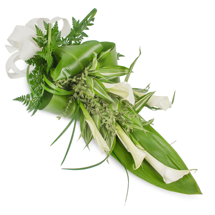 A refined, sheaf-like floral arrangement set on a pure white field, composed around a chorus of ivory and cream calla lilies whose trumpet blooms cascade toward the bottom-right, creating a clean, linear flow. The lilies read as reassuring and dignified, their smooth petals catching a gentle studio glow that highlights subtle shadows and the sculptural line of each stem. Around them, a considered mix of greenery adds weight and intricacy: large, dark emerald tropical leaves folded and wrapped to form a structural backbone; variegated leaves with crisp white streaks that brighten the midsection; and delicate fern fronds that thread through the layout, softening transitions and creating a woodland aire. Little clusters of light green, almost frothy foliage fill gaps like quiet breaths, while long, thin grass blades arch away to enhance the arrangement's graceful rhythm. At the upper left a natural-toned linen or burlap bow provides a tactile counterpoint, its woven texture quietly echoing the organic materials. This bouquet balances modern minimalism with timeless sympathy or wedding elegance; it conveys calm, purity, and a respectful hush. Locally minded, one can picture Flowers New Barnet preparing a piece like this for delivery across Victoria Road or for a gathering at Brunswick Park - a subtle, expertly assembled tribute that speaks through proportion, texture, and restrained colour.