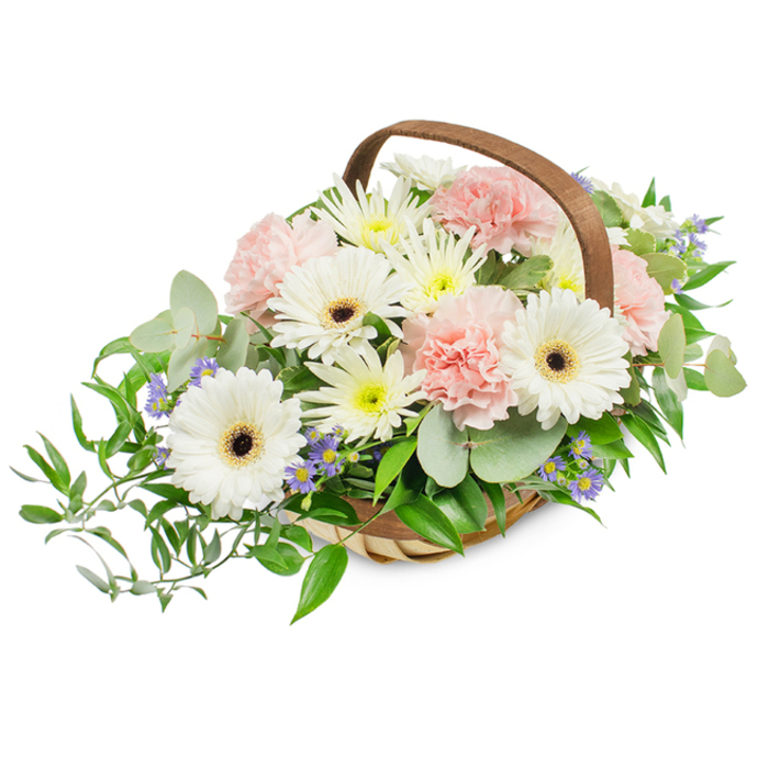 An elegant, handwoven basket arrangement that blends classic whites and blush tones with abundant greenery, captured against a clean white backdrop. The principal flowers are large white Gerbera daisies; their broad petals frame deep brown to near-black central discs that provide a bold, graphic contrast. Surrounding them are clusters of delicate, pale-pink carnations whose ruffled layers create soft shadows and a sense of romantic fullness. Smaller white and pale-yellow daisy-like fillers-spray chrysanthemums or asters-fill the composition, lending an evenly textured, cheerful underlayer. Tiny star-shaped blue-lavender accent blooms are tucked through the foliage, offering discreet, cool highlights and a refined visual rhythm. The greenery is comprehensive and textural: cool, rounded eucalyptus leaves introduce a silvery sheen and a quiet scent; glossy ruscus extends and spills out of the basket on the left, giving the arrangement a slightly asymmetrical, natural flow; additional mixed greens form a dense, supportive foundation. The vessel is a light natural wicker or willow basket with an arched brown wooden handle, its handcrafted weaves and warm tone grounding the airy blooms. Lighting is bright and consistent, accentuating petal edges, the satin surface of the carnations, and the eucalyptus's muted glow. As an experienced New Barnet florist I would place this arrangement as a considerate gift for occasions ranging from Mother's Day and thank-you gestures to a tasteful sympathy display at a local memorial. Delivered across New Barnet and nearby streets along the Great North Road, the basket conveys quiet elegance, sincerity, and the fresh fragrance of thoughtfully selected stems from a neighbourhood studio.