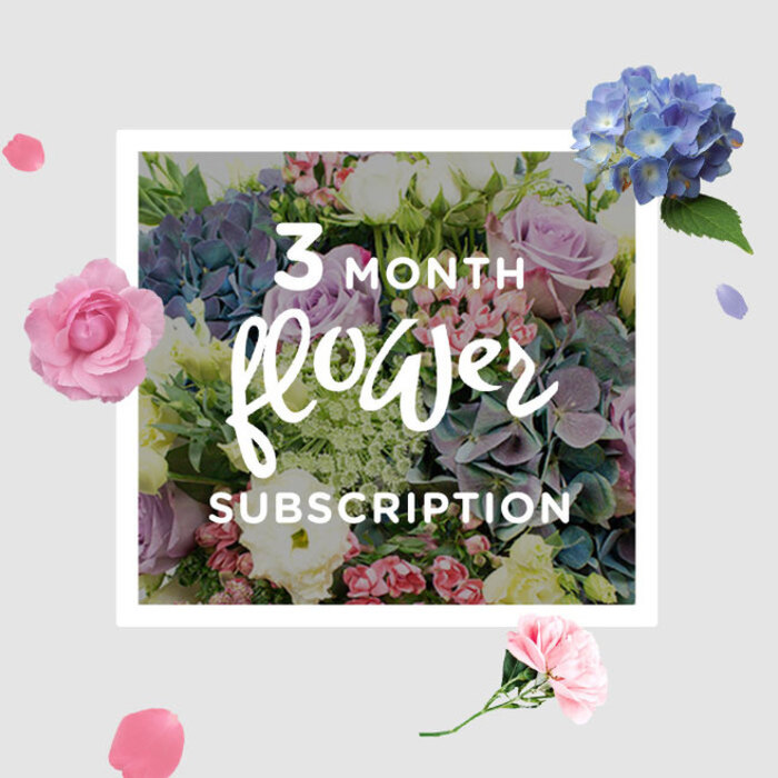 This three-month flower subscription arrangement feels like stepping into a serene New Barnet front room just as the curtains are drawn back to welcome the day. At the centre, generous blue hydrangeas form a plush, rounded mass of blossoms, each tiny floret contributing to a sense of depth and fullness, as though a gentle cloud has settled into the vase. Around them, roses in soft blush and muted lilac tones create a romantic frame, their spiralling petals catching the light at the edges, with some blooms just beginning to open and others fully unfurled. Slender stems of lisianthus rise between the roses and hydrangeas, their delicate, slightly ruffled flowers lending a whimsical, airy note, like small, fluttering accents that keep the eye moving through the bouquet. Fresh foliage in varied greens curves and fans outward, adding volume and a natural, almost woodland character, reminiscent of the leafy paths in Belmont Open Space or along Lyonsdown Road. The interplay of colours is calm and harmonious: cool blues, gentle pinks, and lilacs melt into one another, grounded by the green of the leaves, while soft daylight glides across the arrangement, creating a tranquil atmosphere. Every element in the design suggests the hand of an attentive local florist, placing each stem so that the bouquet has both structure and a relaxed, gathered-from-the-garden feel. Delivered month after month across New Barnet and neighbouring areas, this recurring gift speaks of steady care and thoughtful intention, ideal for someone who finds comfort in subtle beauty and enjoys the quiet pleasure of watching fresh flowers transform as the days go by.