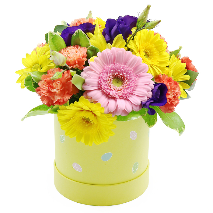 This joyful Easter floral hatbox is presented on a simple white background, inviting the eye to linger on every colour and texture as though it were arranged in a sunlit New Barnet living room. The flowers are clustered tightly into a rounded, almost cloud-like dome that rises elegantly from a pastel lime-yellow cylindrical hatbox. At the front centre, a prominent soft pink Gerbera daisy takes pride of place, its delicate, evenly spaced petals sweeping outward from a pale green heart, reminiscent of a gentle sunrise over the rooftops near New Barnet station. Surrounding it are generous clusters of bright yellow chrysanthemums, their daisy-style blooms radiating an almost tangible warmth, bringing cheer like the first daffodils along local residential streets. Nestled among these, ruffled coral-orange carnations add body and a velvety, layered texture, their warm hue bridging the gap between pink and yellow. Rich violet-purple lisianthus blooms weave through the brighter tones, creating pockets of shadow and depth that lend the design a sophisticated, painterly balance. The arrangement is framed and softened by lush greenery, with some leaves edged in pale cream, adding structure and a sense of movement, as if the bouquet has just been gathered from a well-tended New Barnet garden. The hatbox container itself is a soothing pastel yellow-green, its sides dotted with small, pastel Easter eggs in soft blue, blush pink, and white, some adorned with subtle stripes and speckles that quietly reinforce the seasonal celebration. The overall mood is one of gentle festivity and renewal, making this piece an ideal gift for Easter gatherings, spring birthdays, or same-day delivery surprises for families and friends across New Barnet and nearby neighbourhoods.