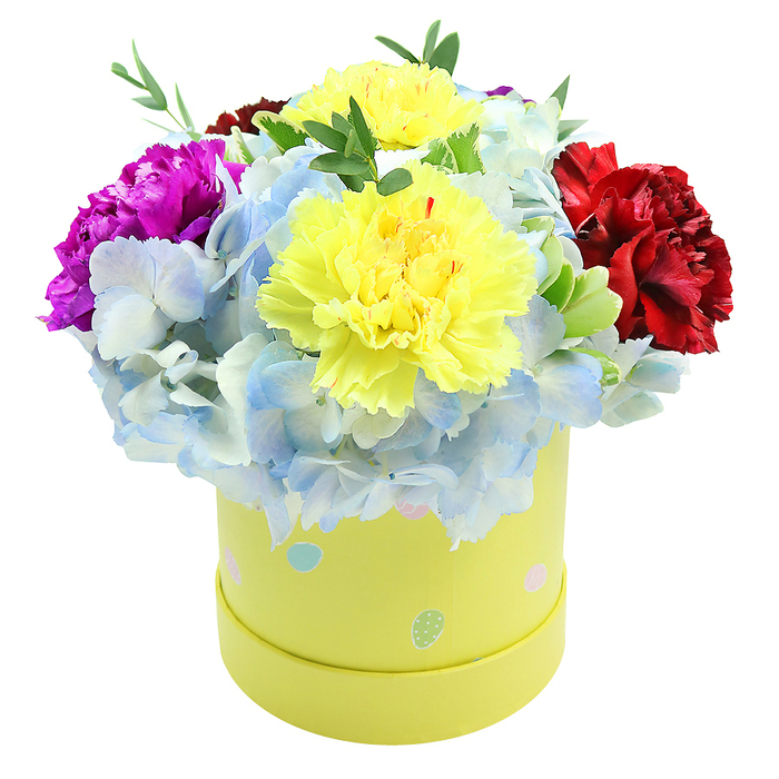 A lush, joyful arrangement presented in a smooth, cylindrical lemon-yellow box fills the frame with layered colour and texture, photographed against a pure white background to foreground every petal. At its centre, two generous yellow carnations bloom with ruffled, scalloped edges, their sunshine tones vivid yet soft under diffuse light. These central carnations are cradled by abundant periwinkle-blue hydrangea clusters whose tiny florets knit together into a cloud-like mass, offering a cool, powdery contrast that makes the yellows appear warmer by comparison. A deep magenta carnation offers a dramatic, jewel-toned accent on one side, while a rich burgundy-red carnation on the other side balances the design with velvety depth; together they create a pleasing colour triangle of yellow, blue and red. Fresh green sprigs and fine foliage peek through, adding crispness, fine linear texture, and the faint scent of newly cut greenery. The box's playful decoration-irregular pastel polka dots in pale blue, soft pink and mint green, some with tiny white specks-reads like a springtime motif and complements the bouquet's celebratory tone. This composition is the kind of carefully curated gift I prepare for customers around New Barnet and nearby streets, a tasteful choice for birthdays, anniversaries, or new-home congratulations. Prepared with florist craftmanship at Flowers New Barnet, it conveys warmth, whimsy and a polished finish suitable for doorstep delivery around Oak Hill Park and the local High Street.