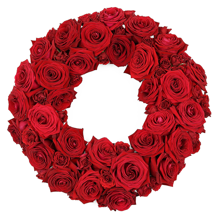 From the studio of Flowers New Barnet to the world's eye, a vibrant circular wreath rises from dozens of deep red roses, lit against a stark white background. The wreath is densely packed, creating a lush texture that reads as velvet in three dimensions, with blooms at varying stages of openness to add movement and depth. Large, fully opened rose heads with spiraling centers form the core of the piece, their velvety petals catching the light and shining with ruby highlights. Interspersed among them are smaller, partially opened roses and clusters of miniature blooms that fill any gaps, giving the ring a dynamic, three-dimensional quality. Each petal shows a precise edge, each fold hints at the gardening care and meticulous wiring that holds the arrangement together. There is a sense of discipline and artistry in the spacing and alignment, a hallmark of a local florist who has learned the streets around New Barnet-from the High Street to Brunswick Park-where every season brings a new echo of colour. The wreath signals strong symbolism: love, respect, remembrance, and sympathy that can accompany romantic milestones, memorial services, or elegant home décor. It sits against the pure white backdrop so the crimson hue remains the focal point, while the craftsmanship is evident in the tight layering and flawless balance. This piece is available for same-day delivery across New Barnet and nearby EN4 postcodes, ensuring a timely and tasteful touch for occasions that deserve a refined, connected celebration or tribute.