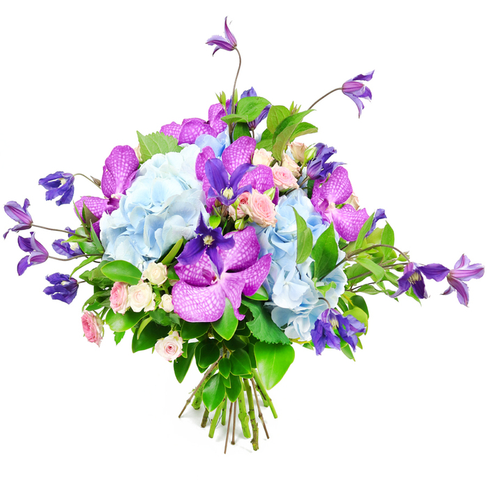 The image shows a sumptuous, hand-crafted bouquet resting against a clean white background, the simplicity of the setting drawing all the attention to the interplay of blues, purples, pinks, and greens. At the centre, generous domes of light sky-blue hydrangeas form a plush base, their masses of tiny petals creating a soft, cloud-like texture that looks as though it could be gently pressed like fabric. Threaded through this gentle blue are vivid fuchsia and rich plum-purple orchids, akin to Vanda or Phalaenopsis, whose wide petals are mottled and veined with deeper tones, adding drama and a hint of far-flung, tropical elegance that contrasts beautifully with the more traditional garden flowers. From the core of the bouquet, several deep purple clematis stems stretch upwards and outward, some opening into pointed starbursts, others hanging more loosely, giving the design a sense of movement reminiscent of flowering climbers along New Barnet garden trellises after a spring rain. Alongside these are small, rounded sprays of roses in soft blush and creamy white, their tightly layered petals bringing a sense of intimacy and gentle affection, like a quiet embrace. Surrounding all of this, lush foliage with glossy leaves and varied shapes cradles the blossoms, intensifying the colours and completing the full, hand-tied silhouette. The bound stems at the base are clearly visible, indicating a fresh arrangement that might have just been finished by a local florist preparing it for same-day delivery to a home near High Barnet or New Barnet station. The overall mood is refined yet inviting, perfect for wedding anniversaries, special birthdays, or sending a message of admiration and support.