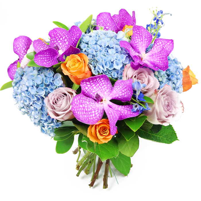 A rich, luxurious bouquet is presented against a simple white backdrop, allowing every flower and texture to stand out clearly, much like a carefully composed window display in a New Barnet high street florist. Prominent within the arrangement are several spectacular Vanda orchids in deep magenta-purple, their wide petals marked with a distinctive reticulated pattern of tiny white speckles that gives them an almost textile-like quality. These orchids are artfully spaced so their dramatic faces are visible from multiple angles, creating focal points of intense colour. Surrounding them is a generous halo of sky-blue hydrangeas, each bloom composed of countless miniature petals that cluster together into rounded, cushiony heads, lending softness and volume to the design. Woven through this cool palette are roses that shift the mood from tranquil to celebratory: vibrant peach-orange roses glow with warmth and optimism, their petals spiralling outward, while muted lavender-grey or dusty mauve roses offer a quieter, more refined elegance. Together, they produce a sophisticated blend of tones that feels perfectly suited to marking life's special moments in homes across New Barnet. Slim sprays of dark blue, spiky accent flowers, reminiscent of delphiniums, add vertical flickers of colour and help break up the rounded outline, suggesting a gentle sense of movement. Deep green foliage with broad, glossy leaves frames the bouquet, enhancing the colour contrasts and providing a natural, garden-fresh backdrop. At the base, the straight, freshly cut stems are clearly visible, gathered and bound in a tight, professional grip that reveals the arrangement is hand-tied with expert care. The overall effect is one of polished opulence and heartfelt emotion, ideal as a showpiece gift, an elegant dining table centre, or a luxurious arrangement delivered to loved ones around New Barnet.