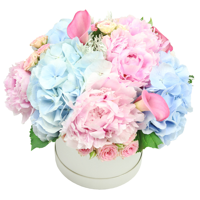 An exceptionally luxurious arrangement rests in a matte light-grey round hatbox, its lid removed to reveal a lush, densely packed dome of blooms in pale pinks and baby blues. The biggest statement comes from the large peonies-velvet, blush-tinted petals unfurling in layers-paired with generous cascades of pale blue hydrangeas that feel like soft clouds. Two pink calla lilies rise above the rest, their sleek, trumpet forms adding elegant drama and vertical movement. Near the rim, tightly budded spray roses tucked in bring a delicate, old-fashion charm. Greenery peeks through-dusty miller's silvery tips and fresh green leaves-adding depth and a natural frame. The overall effect is refined and opulent, suited as a grand centerpiece for weddings, anniversaries, or luxury gifts, and equally fitting for a living room display that begs to be admired. The crisp white backdrop emphasizes the soft hues, while the careful craftsmanship shows the mark of a local florist who knows New Barnet's tastes-gracious, timeless, and quietly extravagant.

In the local scene around New Barnet's High Street and the leafy approaches toward Monken Hadley Common, this bouquet would anchor a celebration table or serve as a memorable gift for a milestone. It's a piece built on texture, light, and balance, with every bloom chosen to sustain the moment's emotion and the room's atmosphere.
