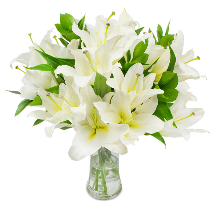 A striking, full bouquet of fresh white lilies is arranged with deliberate care in a transparent glass vase and photographed against a pristine white background to let every floral detail stand out. The lily blooms are densely clustered, some fully open to reveal six broad, silky petals that curve outward, others gently cupped as they approach full bloom; each petal is a crisp, luminous white with a whisper of cream or pale yellow-green toward the centre, which gives depth and a natural warmth to the otherwise pure tones. Thin, elegant stamens extend from several blossoms, their pale greenish filaments tipped with light brown anthers and occasional dustings of pollen, adding fine texture and botanical authenticity. Interspersed between the white flowers are numerous deep green, lanceolate leaves, glossy and robust, which ground the arrangement and amplify the bouquet's fullness. The clear vase, with its gently flared neck and solid base, exposes neatly trimmed stems immersed in clean water, reflections and subtle refractions of light making the stems appear almost luminous. Described as if to a friend who cannot see it, I would speak of the lilies' cool, powdery scent, the satiny smoothness of the petals, and the reassuring weight of the bouquet in the hands. This composition evokes elegance, purity, and tranquil remembrance-ideal for memorial tributes, understated celebrations, or as a serene centrepiece in a period home near Brunswick Park or Oakleigh Park-presenting floral simplicity with considered craftsmanship and a quiet, dignified presence.