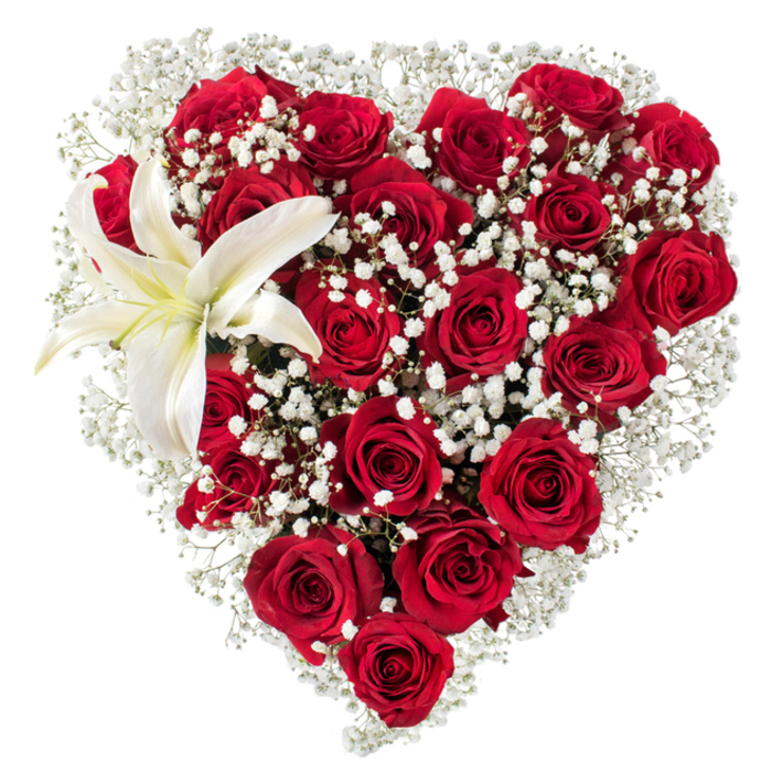 A meticulously formed heart of blooms, photographed against a crisp white field, where dozens of deep crimson roses create a dense, luxurious volume. The roses' petals are velvety and saturated with colour, some tightly furled and others opening to reveal layered centres that collect shadow and light, giving the heart a living, breathing quality. Between and around the larger roses, soft sprigs of white baby's breath (Gypsophila) are worked in with intention; these tiny, star-like flowers provide a whisper of brightness, a misty texture that cushions the richer tones and frames the heart in a delicate lace. Prominently placed in the upper-left curve, a single white lily unfolds with serene grace; its broad, pure petals show a whisper of cream near the throat and its yellow-orange stamens sit like a small sun, offering contrast and focal relief. The studio lighting picks out the satin highlights on each petal and the fine filigree of the gypsophila, suggesting tactile sensations: the softness of velvet roses, the lightness of the baby's breath, the cool, waxy touch of the lily. This composition reads as both statement and solace, suitable for intimate declarations of love, anniversary presentations, or elegant displays for romantic events. Envisioned being hand-delivered across New Barnet, perhaps from a shop near Station Road or to a flat overlooking Oak Hill Park, it embodies professional floristry-clear silhouette, intentional accents, and a restrained palette that maximises emotional impact while remaining timelessly refined.