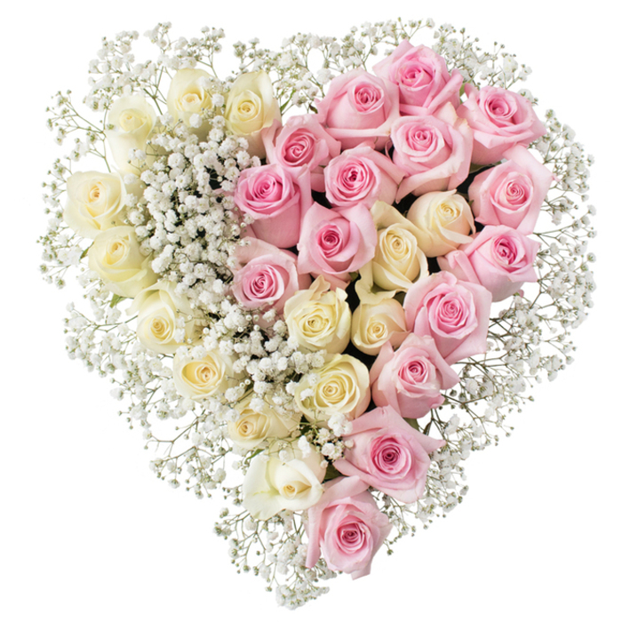 A large, heart-shaped floral arrangement is presented on a crisp white background, allowing every nuance of colour and texture to be clearly seen. The heart is visually divided into two equal halves, symbolising two sides of a shared bond or a balance of tenderness and devotion. On the left, a rich cluster of creamy white and soft pale yellow roses are packed tightly together, each bloom open and rounded, with velvety petals that curl gracefully at the edges. They suggest purity, serenity, and the gentle light of early morning. On the right, equally dense and lush pink roses take over, their medium, warm pink tone speaking of affection, love, and treasured memories. Each rose appears freshly cut, with robust stems concealed beneath the mass of petals, giving the heart a full, luxurious depth. Fine sprays of tiny white baby's breath are woven carefully through both sides and around the perimeter, softening the transition where the two colours meet and framing the heart with a delicate, cloud-like halo. The design feels deliberate yet tender, ideal as a funeral tribute or memorial arrangement for services around New Barnet, Hadley Wood, or along the quiet roads near Victoria Park. It is easy to imagine this heart placed on an easel beside a coffin, lying gently atop a casket, or resting on a stand at a crematorium, offering a romantic yet respectful farewell. The overall mood is one of calm remembrance and enduring love, a floral expression of sympathy crafted in the thoughtful, detailed style many families in the New Barnet area appreciate.
