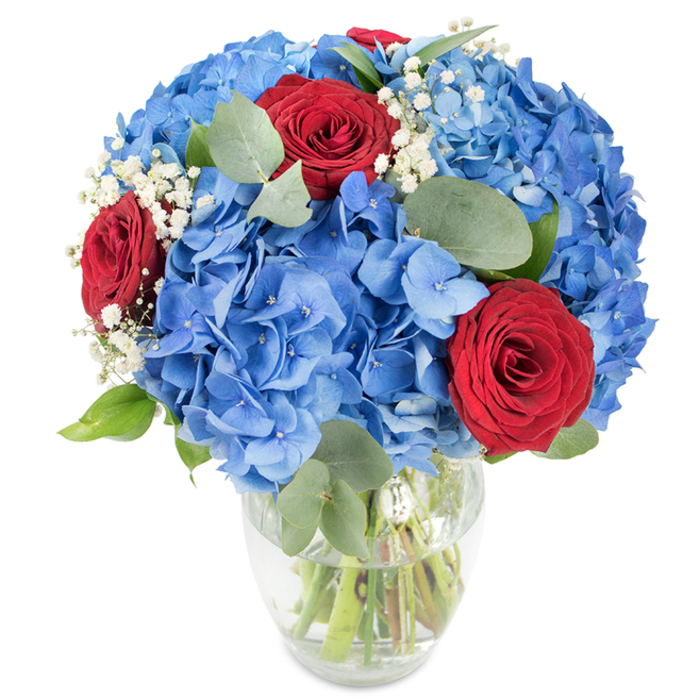 An expertly balanced bouquet presented in a clear glass vase, arranged to celebrate colour and texture in equal measure. Large, rounded heads of sky-blue hydrangea create a lush, voluminous core-every tiny floret layering into a soft, almost cloudlike mass that feels cool and tactile. Set among this blue expanse are rich red roses, their velvety petals tightly formed and striking against the hydrangea's serene tone, providing a dramatic, romantic contrast. Tiny clusters of white baby's breath drift through the arrangement like scattered points of light, offering a delicate, diaphanous softness that tempers the strong hues. Soft, oval eucalyptus leaves and fresh green foliage weave through the stems, contributing a calm, dusty-green counterpoint and a faint herbal scent when the bouquet is handled. The glass vase, gently rounded at the base and tapering at the mouth, exposes the neat, green stems submerged in clear water-evidence of the bouquet's freshness and thoughtful conditioning. Bright, uniform lighting and a pristine white backdrop let the colours sing without distraction. Crafted with care by local hands, this bouquet is the sort of arrangement Flowers New Barnet might recommend for an anniversary table setting or as a celebratory gift for friends in Brunswick Park or around New Barnet station: both uplifting and quietly refined, it suits moments of romance, thanksgiving, or communal celebration.
