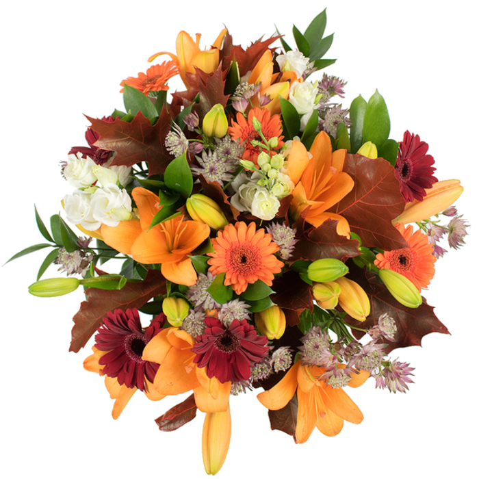 Captured from a close, slightly elevated viewpoint against a pristine white sheet, this hand-tied autumn bouquet is a study in warm contrasts and layered textures that feel both celebratory and quietly homely. Several prominent orange Asiatic lilies provide dramatic focal points: wide, trumpet-shaped blooms with softly curved petals, complemented by numerous tight buds that are pale orange and green, suggesting the bouquet will shift and open over several days. Interspersed are cheerful Gerbera daisies in bright orange and a few in rich burgundy-red, their circular, radiating petals forming sun-like motifs that bring an upbeat energy. Creamy lisianthus flowers introduce a refined, ruffled softness, while clusters of purple-grey astrantia add delicate, starry detail that refracts the eye around the arrangement. Broad, deeply lobed leaves in warm chestnut and reddish-brown are artfully placed to capture the essence of fallen oak or maple leaves, anchoring the design in an unmistakable autumn mood; fresh green foliage threads through the composition, supplying freshness and structure. The bouquet is brightly lit so colours read vibrantly and surfaces reveal subtle textures - satiny petals, papery leaf veins, and the fine stems of filler flowers. As a local florist in New Barnet I imagine setting this on a white kitchen table after a walk from New Barnet station, where its scent - a gentle tea-like sweetness from the lilies with a cool, leafy undertone - would mingle with the hush of afternoon light. This arrangement balances rustic charm with careful craftsmanship, ideal for seasonal gifting, a harvest table, or bringing the warmth of the neighbourhood inside.