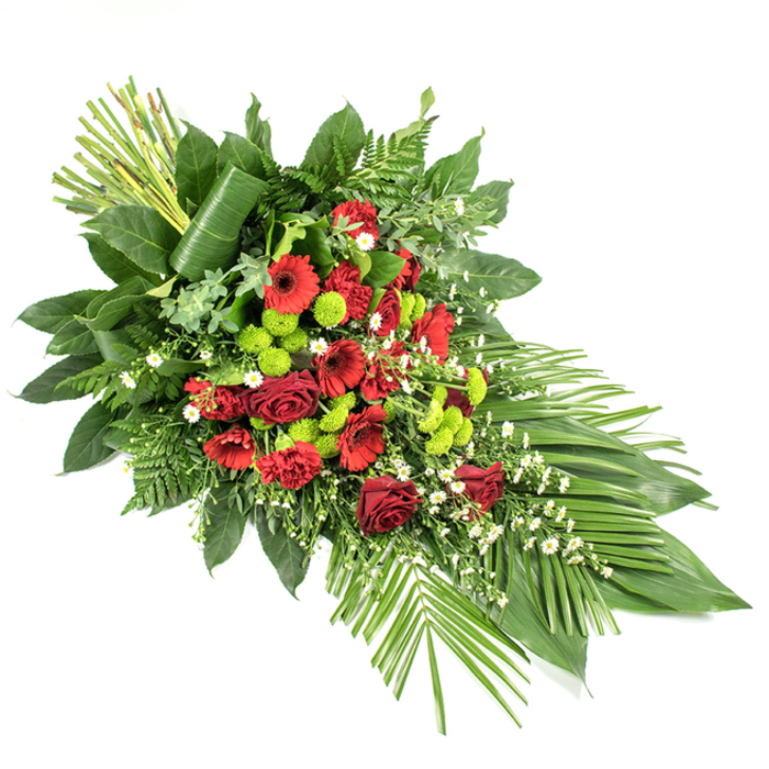 This image shows a sophisticated, elongated sympathy spray laid out against a stark white background, the simplicity of the setting placing full attention on the flowers' colours and shapes. The arrangement forms a gentle, tapering teardrop that would rest beautifully on a casket or stand as a focal tribute at a funeral service in New Barnet or nearby Hadley. At the core of the design are luxurious deep red blooms: classic roses with velvety petals, some fully unfurled and others still cupped; bold red gerbera daisies with distinct darker centres; and soft, ruffled red carnations that add fullness and texture. These are artfully interspersed with clusters of bright lime green button chrysanthemums, each small, rounded flower head providing a vivid modern contrast that prevents the spray from feeling too heavy. The lime green echoes the fresh greens of local parks while keeping the overall mood respectful. Delicate white filler flowers, perhaps tiny daisies or matricaria, are scattered through the spray, adding a light, airy touch that suggests breath and space between the richer colours. Surrounding the blooms is a dense framework of foliage: broad, glossy dark green salal leaves, fine-textured fern fronds, and other fresh greenery contributing depth and movement. Toward the lower right, several long, broad leaves are carefully fanned out, strengthening the sense of direction and flow. At the top left, a bundled cluster of tall green stems rises upright, anchored by a single broad leaf wrapped gracefully around the base, bringing a contemporary, structured note to the tribute. The overall effect is of a lovingly crafted funeral spray, created by a skilled local florist to express sympathy, respect, and cherished remembrance.