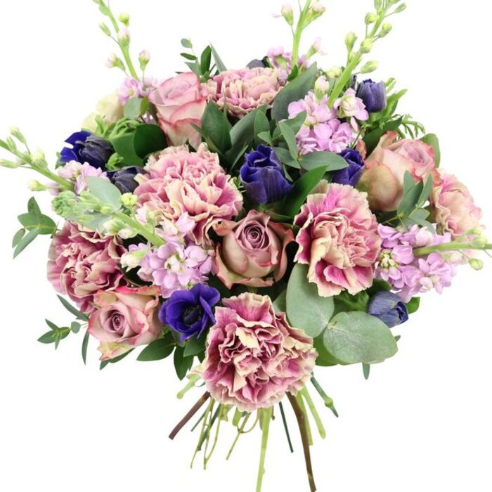 In this image, a sumptuous hand-tied bouquet stands out vividly against a pure white background, every bloom and leaf clearly defined. At the centre, large garden roses in shades of blush, dusty pink, and soft mauve open in luxurious swirls, their layered petals giving the arrangement an unmistakably romantic core. Surrounding them, plentiful carnations with finely ruffled edges introduce both volume and texture; their petals shift from creamy beige and pale blush at the base to deeper rose and berry tones at the tips, as if lightly brushed with watercolour. Deep, jewel-like accents of royal blue and indigo punctuate the pinks: one open blue anemone with a near-black centre anchors the lower front of the bouquet, while several closed or half-open buds, shaped almost like small tulips, offer rich blue highlights throughout. Threaded among these are stems of lilac and pale lavender stock, their tall, slender spires dotted with numerous petite blossoms, adding an airy, almost ethereal vertical line. Around the flowers, a lush frame of greenery unfolds-rounded, silvery eucalyptus leaves catch the light with a soft sheen, while darker green foliage provides structure and contrast, suggesting the bouquet has been freshly prepared in a local New Barnet workshop. The stems are gathered neatly and left visible at the base, reinforcing the hand-crafted, ready-for-a-vase quality that makes it perfect for delivery to homes near Victoria Park or offices along Station Road. The overall effect is one of elegance and warmth, a versatile design suited to anniversaries, congratulations, or a thoughtfully arranged centrepiece for a family gathering in the New Barnet area.