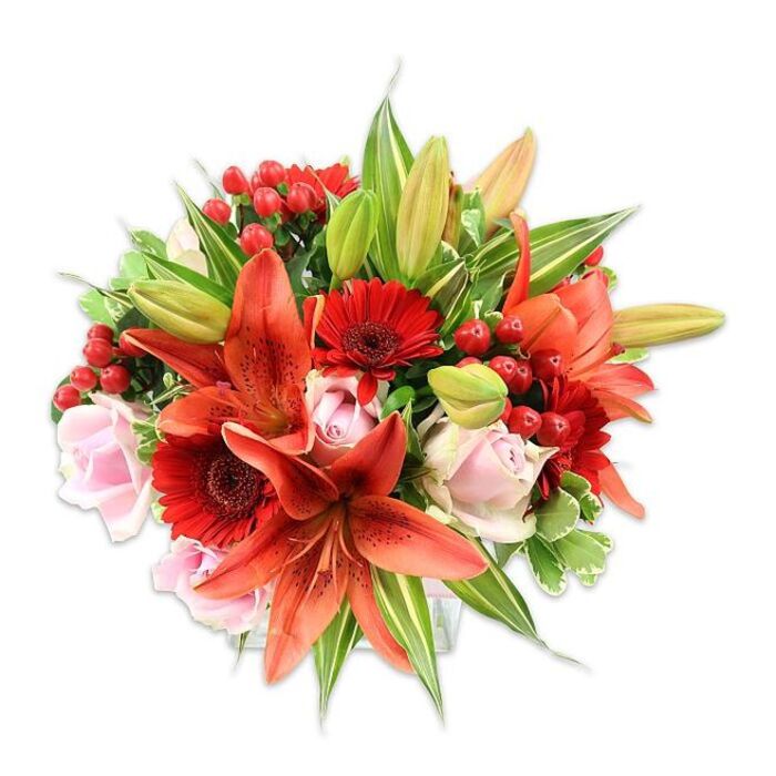 Presented on a pristine white field, this luxuriant bouquet reads as a study in warm hues and tactile contrast, the kind of arrangement a seasoned florist composes with confident hands. At its core sit several large orange-red Asiatic lilies, their wide petals sometimes dotted with subtle speckling and revealing stamens that add sculptural detail; a few buds remain gently closed, promising staged unfolding. Layered among these are vivid, almost velvety crimson Gerbera daisies whose many narrow petals rotate from dark central disks, creating rhythmic bursts of colour. Soft blush-pink roses appear throughout - some tucked in as tight knots of petal, others open and ruffled - providing a tender counterpoint to the lilies' boldness. Sprays of bright red hypericum berries lend glossy, festive punctuation and a different, firmer texture that plays against the roses' softness. The bouquet is generously built out with several types of greenery: broad, smooth leaves that ground the palette, elongated lily leaves for graceful sweep, and a few variegated leaves that add pale streaks and delicate contrast. The controlled bright lighting yields a clean, vivid image where oranges and reds glow and pinks remain delicate; one might sense a subtle floral and spice aroma if standing nearby. Crafted for special occasions - from anniversaries to cheerful get-wells - the composition embodies warmth and thoughtful design, ideal for delivering a burst of colour to a New Barnet living room or reception near Station Road and Brunswick Park.
