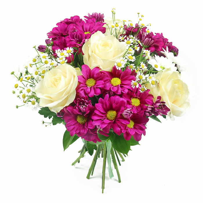 This image shows a lush, hand-tied bouquet standing proud against a brilliant white background, the simplicity of the setting drawing all attention to the flowers themselves, as if showcased in the window of a New Barnet florist. At the heart of the design are four prominent roses in creamy white with a whisper of buttery yellow at their centres, their petals opening in perfect spirals that suggest both romance and classic elegance. Radiating around and between the roses are numerous fuchsia-magenta chrysanthemums, their daisy-like heads arranged densely enough to create a striking ring of colour. Each chrysanthemum reveals a bright yellow or yellow-green centre, giving the impression of tiny, glowing buttons and lending the bouquet a joyful, almost celebratory character. Threaded through this vibrant base are airy clusters of small white daisies or feverfew-style flowers, each with slim petals and a sunny yellow centre that introduces a light, garden-picked charm. Deep pink-purple chrysanthemum buds tucked in among the open blooms add a touch of depth and shadow, hinting at the natural cycle of buds, blossoms, and full flowers. A rich bed of green foliage supports the whole composition, with the different leaf shapes creating an irregular, organic frame that softens the outline. All the fresh stems converge at the base, where they are bound tightly with a neat green and white gingham ribbon, suggesting careful craftsmanship and readiness for delivery to a doorstep near Station Road or a celebration in a New Barnet home. Bright, even lighting ensures that every contour, from the ruffled mums to the smooth rose petals, is clearly visible, giving the arrangement a feeling of freshness, warmth, and considered design, suitable for birthdays, anniversaries, or simple acts of kindness.