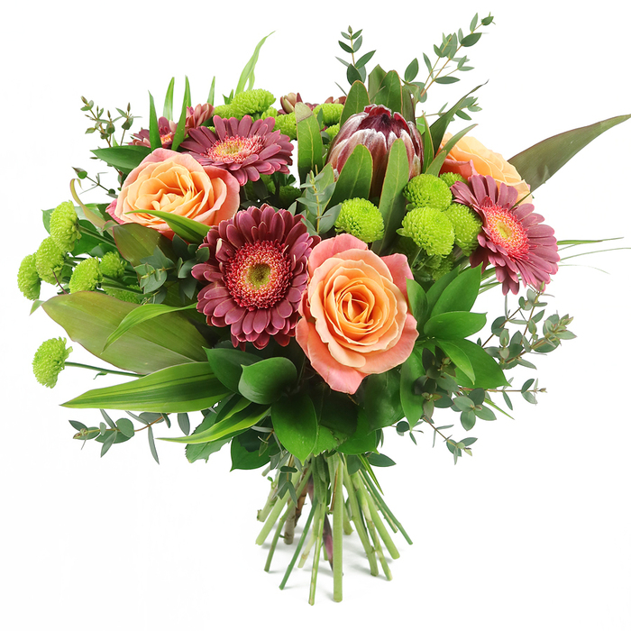 This lush mixed bouquet, photographed against a pure white background, showcases the kind of refined, hand-tied design often seen in New Barnet homes for special occasions and everyday joy. The focal point is a gathering of roses in generous bloom, their petals unfolding in layers of soft peach, coral, and salmon pink, with some flowers displaying a delicate gradient from pale, almost creamy edges to deeper orange centres. Interwoven are gerbera daisies in rich fuchsia and burgundy tones, their daisy-like heads composed of narrow, radiating petals that frame contrasting centres, sometimes ringed with a lighter halo of pink for extra depth and interest. Toward the upper section of the bouquet, a distinctive King Protea stands proud, its robust, cone-like form built from mauve-pink and reddish-bronze bracts, suggesting both strength and delicacy-an eye-catching flourish that would look at home in a contemporary apartment off Wood Street. Bright lime-green button chrysanthemums, the Santini variety, are dotted throughout, their compact, pom-pom shapes and crisp colour enlivening the warmer hues and helping to fill the arrangement with texture and freshness. Around the blooms, a profusion of greenery forms a supportive cradle: broad, high-shine leaves lend structure and depth; tall, sword-like blades create clean vertical lines; and fine eucalyptus stems with rounded, bluish foliage add softness and subtle movement. The stems are carefully gathered and tied at the base, revealing the clean, professional finish of a hand-tied bouquet crafted for easy vase placement. The overall mood is one of warm celebration and modern elegance, ideal for birthdays, anniversaries, or thoughtful thank-you gifts delivered across New Barnet and its surrounding streets.