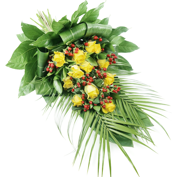 A beautifully composed sympathy spray featuring yellow roses, red berries, and rich greenery is captured against a bright white background, making every blossom and leaf clearly defined. The arrangement is shaped in a tapered, elongated form that runs diagonally from the top left to the bottom right, ideal for resting along a casket, on a funeral stand, or as a prominent tribute at a memorial service in New Barnet. At the centre of the design are numerous yellow roses, perhaps fifteen or more, carefully spaced so each bloom can be appreciated. Some roses are still in bud, their petals gently wrapped, while others are fully unfurled, revealing a luminous golden-yellow that suggests hope, friendship, and the warmth of cherished memories. Scattered gracefully between these roses are clusters of small, rounded red berries, most likely Hypericum. Their bright, berry-red tones provide a striking contrast to the soft yellow, while their smooth, bead-like texture adds depth against the petals and leaves. The roses and berries are supported by an abundance of foliage. At the upper portion, large, dark green leaves are folded and wrapped around the base, creating a strong and structured backdrop that frames the flowers. Further down, long, slender palm-like fronds stretch out and away, their narrow leaflets fanning lightly and giving the spray a feeling of natural movement and airiness. The overall palette of golden yellow, deep green, and vivid red is both comforting and uplifting, suitable for honouring a life with respect and gentle optimism. Crafted with the sensitivity of a local New Barnet florist, this arrangement would feel at home in intimate family farewells as well as larger funeral gatherings.