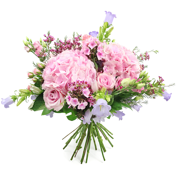 This image shows a beautifully abundant, round bouquet of pink and lavender flowers on a clean white background, the simplicity of the setting drawing all attention to the rich textures and subtle colour shifts. Dominating the composition are lush domes of pink hydrangeas, their dense clusters of small, scalloped petals building into full, cloud-like forms that immediately catch the eye. Tucked among these are blush-pink roses, some fully open with their layered, spiralling petals on display, others remaining in graceful bud, echoing the promise of new blooms seen in front gardens along Lyonsdown Road. Rising lightly above the main mass of blossoms are slender stems of campanula-like bellflowers in shades of pastel lavender and soft periwinkle purple, their nodding, bell-shaped heads bringing a whimsical, almost woodland charm to the design. Threads of smaller, deeper pink and fuchsia filler flowers, similar to waxflower or phlox, weave throughout, adding bright sparks of colour and a fine, intricate texture when examined closely. Generous green foliage supports and encircles the blooms, with fresh leaves and budding stems providing contrast and a sense of natural movement, as though the bouquet had just been gathered from a thriving New Barnet garden. The stems are neatly trimmed and tied at the base, clearly forming a hand-tied bouquet ready for a vase on a dining table or bedside. The arrangement feels joyful yet composed, the gentle fragrance of roses and the softness of hydrangea suggesting celebrations, warm thank-yous, or heartfelt congratulations for friends and family around New Barnet.