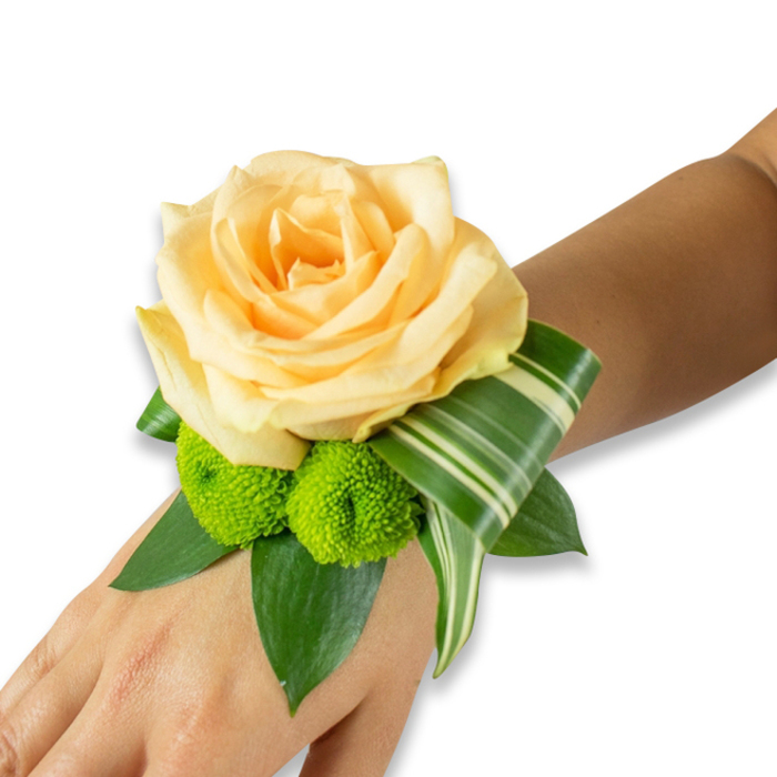 Set against a plain white studio background, this wrist corsage is presented on a warm light-to-medium brown forearm, the skin tone lending a lovely warmth to the floral colours. At its centre blooms a full peach rose - soft, layered petals with a subtle sheen that fold inward toward a glowing heart - evoking tenderness and classic romance. Below and to the side, two lime-green button chrysanthemums lend a joyful, textural contrast: their dense, cushion-like florets are small and precise, like beads of colour that punctuate the arrangement. Beneath the flowers, a foundation of broad, deep-green leaves, perhaps salal or ruscus, fans out to create depth and structure, while a pronounced variegated leaf, striped with pale bands, is curled and folded in an architectural sweep that tucks neatly along the wrist. The fastening is unseen but secure, allowing the composition to appear as a natural extension of the wearer's arm. The lighting is soft and even, accentuating the rose's velvety surface and the glossy finish of the foliage; the overall impression is one of refined craftsmanship and wearable sculpture. I imagine this corsage accompanying a bride walking from a New Barnet church or a prom-goer stepping out on Station Road - occasions where a small, carefully chosen floral accent can underscore memory. The scent is faintly floral and fresh, the textures a tactile delight; the colour pairing of peach and lime with deep greens reads as both contemporary and timeless.