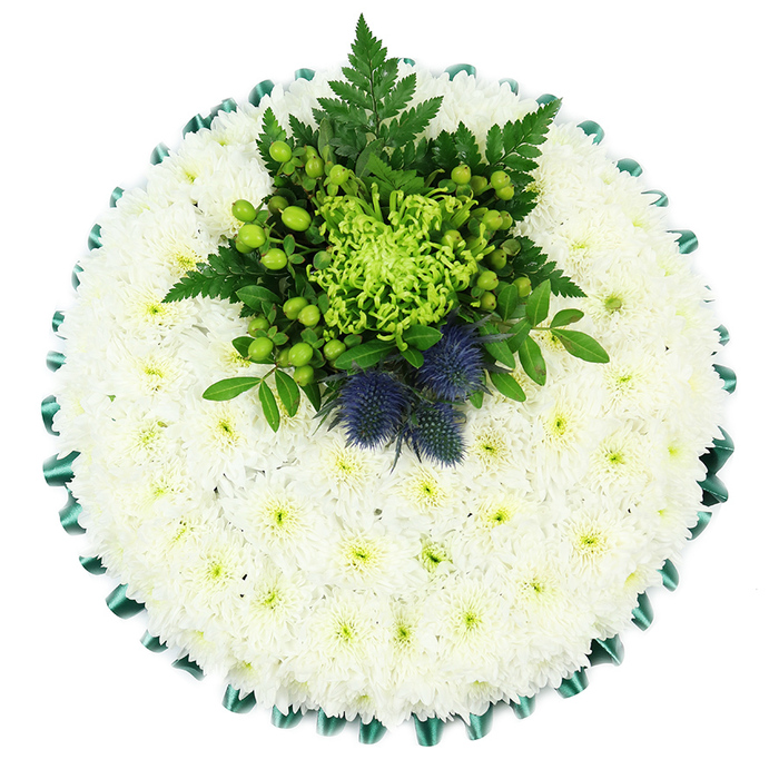 This image presents a serene, circular funeral tribute cushion viewed from above, as it might appear laid ready for delivery to a New Barnet chapel or graveside service. The design is dominated by a seamless field of pristine white chrysanthemums, closely packed so that their petals form a continuous, cushion-like surface. Each flower head is delicately frilled, with miniature petals radiating from a subtle greenish-yellow centre, giving the arrangement a soft, cloud-like presence that speaks of purity, peace, and remembrance. Encircling this floral base is a band of deep emerald satin ribbon, carefully folded into small, scalloped pleats, its gentle sheen providing an elegant frame and a touch of ceremonial formality common in traditional funeral work across New Barnet and nearby Monken Hadley. Slightly offset towards the upper centre sits a lush focal cluster in shades of green and cool blue. A vivid lime-green spider chrysanthemum stretches out its thin, tubular petals like a starburst, surrounded by plump apple-green Hypericum berries, which catch the light with a quiet gloss. Dark green foliage, including graceful fern fronds, fans out around the central bloom, adding both texture and depth. Nestled among the greenery, two distinctive Scottish thistles stand proud, their spiky spherical heads coloured in dusty indigo and muted violet tones, bringing a striking contrast in both shape and hue. These thistles subtly suggest a Scottish connection, chosen perhaps in honour of a family's heritage or a loved one's personal story. The entire cushion conveys a calm, composed elegance, a thoughtful tribute that would feel completely at home at a New Barnet funeral, cremation, or memorial gathering, offering comfort through its gentle colours and careful craftsmanship.