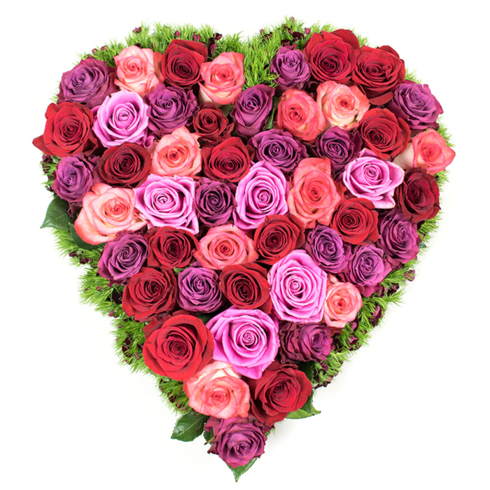 Viewed directly from above, this heart-shaped floral piece is a study in abundance and restraint-abundance in the sheer number of roses pressed edge to edge, restraint in the thoughtful colour choreography. Deep scarlets and crimson roses form a passionate core, interlaced with darker burgundy tones; these warm notes ease into ribbons of blush pink, coral and vibrant fuchsia, before the palette cools into lilac, lavender and mauve with underlying plum accents for contrast. Each rose is at a consummate stage of bloom, petals smooth and velvety, centers neatly furled, creating a dense, tactile surface that invites touch. Around the outer rim a narrow band of fine, dark green foliage-reminiscent of maidenhair fern or a soft moss-frames the heart and provides a natural punctuation, its texture hinting at damp earth and fresh stems. The lighting is soft and even, highlighting petal contours and the arrangement's sculpted silhouette without harsh shadow. This piece is equally suited to a romantic celebration, a Mother's Day gift, or a dignified memorial display, its language of devotion and remembrance universally legible. I picture it being carried from our shop to addresses across New Barnet and Oakleigh Park, arriving from the direction of Station Road into quiet living rooms or placed with care at local commemorations. The craftsmanship balances visual poetry with practical sturdiness, making the heart both beautiful and enduring.