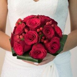 A radiant bridal bouquet designed by an experienced New Barnet florist is the heart of this softly illuminated image, perfectly capturing a moment of elegance against a simple, neutral background. Close up and at eye level, we see the bride's silhouette-her hands cradling the floral masterpiece, nails immaculately manicured-creating an immediate sense of intimacy and care. The striking composition revolves around densely gathered deep red roses, their velvety petals swirling between tightly furled buds and lush, open blooms. This tactile richness is accented by rich red hypericum berries strategically nestled among the roses, providing both a playful pop of colour and a rounded, beaded contrast to the softness of the flowers. Encircling the base, a ring of glossy, broad green leaves provides sculptural appeal, echoing the verdant parks that distinguish Barnet's residential charm. The bride's classic white gown, adorned with delicate lace and flowing drapery, serves as a canvas for the bouquet's vibrant colour, heightening the romantic narrative. The entire composition exudes drama and sophistication-roses and berries bathed in gentle light, speaking to promises made and shared dreams. Ideal for couples across the New Barnet area, this bouquet leaves an indelible imprint on memories of a perfect wedding day, a symbol of unity and celebration woven with expertise and local flair.
