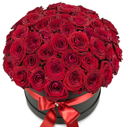 This sumptuous floral creation radiates warmth and sophistication-an impeccable tribute to the romance that flourishes through New Barnet's charming streets and tranquil gardens. Cleverly nestled within a chic, matte black hat box, dozens upon dozens of plush, velvety red roses gather so closely that their vivid petals intermingle, forming a lustrous dome that visually and emotionally overwhelms. Each rose boasts petals unfurling in glorious layers, the play of light casting subtle shadows into their depths, conjuring memories of twilight strolls past Hadley Green or exchanges of affection beneath the leafy avenues of Victoria Road. The vibrancy of the crimson roses is underscored by the striking elegance of the deep black box-a modern touch for floral displays designed with New Barnet's contemporary spirit in mind. Around the upper rim, a shining red satin ribbon hugs the container, ending in a rich, sculpted bow adorned by a delicate, sparkling crystal accent at the knot-a glimmer reminiscent of festive evenings spent in local bistros or celebrations marked with flair. The entire presentation exudes luxury and intimacy, a bouquet that not only fills a room with captivating fragrance but also stirs the heart. Ideal for marking romantic milestones, lavish anniversaries, or as a heartfelt gesture delivered from one corner of New Barnet to another, this arrangement is a testament to both passion and the artistry of local florists.