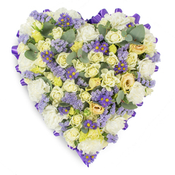 This heart-shaped sympathy wreath reads like a quiet poem in flowers: dense layers of creamy and pale yellow roses form the warm, luxurious base, their petals folded with an intimate, tactile softness. White carnations fill the spaces like a gentle cloud, lending reassuring bulk and the familiar scent of traditional memorial floristry. Scattered throughout are pools of light lavender statice and small, vivid purple daisy-like asters with sunny yellow centres that act as gentle punctuation - moments of colour that bring depth without disrupting the arrangement's calm. Blue-green eucalyptus leaves are deliberately left visible, their rounded, matte foliage introducing a cool, herbaceous note to the otherwise soft, pastel pallet and offering a modern balance to the classic blooms. A rich purple satin ribbon, looped continuously around the outer edge, crisply defines the heart's outline and provides a sombre, elegant frame against the pristine white studio background. The lighting is soft and even, accentuating petal texture and the subtle gradients of cream to pale yellow. This composition is made with the same care we bring to memorial orders for families around New Barnet - near Station Road and Brunswick Park - designed to convey solace, enduring affection, and a dignified farewell when words feel too small.
