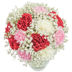 This New Barnet floral arrangement sings with both sophistication and warmth, as if capturing the light and vitality of a stroll through Victoria Park in late spring. Carnations in vibrant crimson, softest pink, and creamy white are artfully clustered, their ruffled petals unfurling like silken fabric and creating a sense of inviting luxury. Delicate baby's breath, known for its dainty, cloud-like clusters, dances amidst the bold blooms, lending the bouquet an ethereal softness that contrasts beautifully with the deeper shades. The flowers are arranged in a nearly perfect sphere, nestled comfortably within a rounded, clear glass vase that hints at the freshness of their stems and water below-a quiet promise of lasting enjoyment. Each detail is crafted by our knowledgeable New Barnet florists, who infuse the bouquet with local artistry and care. The composition is photographed in radiant, even light, making the reds, pinks, and whites pop against the clean backdrop, and inviting viewers to appreciate every nuance. Whether destined for a loved one's milestone, a show of appreciation for a neighbour on East Barnet Road, or a heartfelt thank you, this bouquet delicately balances tradition with light-hearted celebration. Its presence brings a sense of grace and classic style to any New Barnet home or occasion.
