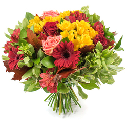 Warm, tactile, and seasonally elegant, this hand-tied bouquet celebrates autumn with a rich, harmonious palette portrayed against a pristine white background. Dominant in the arrangement are deep crimson and burgundy-red flowers: plush red roses, some unfurled to show layered petals and others held as tight buds, and powerful gerbera daisies whose broad, flat petals frame slightly darker centers. Intermingled are abundant yellow spray chrysanthemums whose compact, multi-petaled clusters bring a jubilant, sunlit contrast that livens the composition. Coral-pink roses and soft peach garden roses offer gentle mid-tones, while slender red-and-orange alstroemeria introduce delicate stripes and a star-like shape that adds movement. The florals are cushioned by a variety of foliage - glossy dark-green leaves for depth and lighter, almost variegated greenery for texture and lift - and the bouquet is thoughtfully punctuated with several large, bronze-to-reddish autumn leaves that read like framed seasonal accents. The stems are neatly gathered at the base in a classic hand-tied style, the green stalks visible where they rest on the white surface, and a soft natural light highlights the warmth and velvety textures of the blooms. From the perspective of a local maker, this piece evokes the comforting stillness of a crisp New Barnet morning, ideal for a Thanksgiving centerpiece or a heartening delivery to homes around New Barnet station, Park Road and nearby Hadley Green; this arrangement is the kind of seasonal comfort we craft at Flowers New Barnet for thoughtful local gifting.