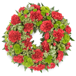 A rich sympathy wreath filled with crimson red carnations and bright lime green button chrysanthemums appears suspended against a clean white background, its circular form symbolising continuity and remembrance. The flowers are packed generously, so that wherever your eye rests, you see layers of colour and texture. Each red carnation is full and ruffled, with petals that look almost like folded silk, some blooms wide open and others still slightly tight, giving the design a natural rhythm rather than a rigid pattern. Between them sit clusters of lime green pompon mums, perfectly spherical and slightly domed, their tiny, densely packed petals creating a smooth, almost velvety surface that contrasts gently with the frilled carnations. Supporting this interplay of red and green is an abundance of foliage: dark, feathery fern fronds creating a deep green shadow beneath the flowers, and variegated pittosporum leaves, their creamy margins adding flickers of light and subtle pattern. A soft green striped ribbon is woven through one side of the wreath, forming loose curls that echo the circle without distracting from the blooms. The photography is bright and even, making every petal and leaf clearly defined, as though you were viewing it up close in a New Barnet flower studio before it is delivered to a quiet service near Victoria Park or a family gathering at a local chapel. The overall effect is dignified yet vibrant, a carefully composed tribute that expresses sympathy, gratitude, and the enduring memory of a life cherished in the New Barnet community.