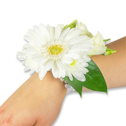 A carefully composed white floral wrist corsage sits lightly on a fair forearm against a neutral white background, every element arranged to read clearly from a distance and up close. At its heart is a bold white Gerbera daisy, its broad, satiny petals radiating from a vivid yellow-green eye that lends the piece an uplifting focal point. Surrounding the Gerbera are clusters of petite, fluffy white spray chrysanthemums and creamy lisianthus buds that soften the silhouette and create a gentle, clouded texture beneath the central bloom. The composition is grounded by glossy, dark green salal or Ruscus leaves that provide contrast and a slight architectural sweep along the wrist, emphasizing the corsage's wearable shape. The flowers are affixed to a refined, multi-strand band of small white pearl beads; these faux pearls gleam softly and make the piece comfortable to wear while adding a touch of vintage romance. In my shop at Flowers New Barnet we craft pieces like this with attention to scent, scale and longevity-expect a cool, green fragrance with faint floral sweetness and petals that feel silky against the skin. The lighting in the image is soft and even, highlighting vein patterns in leaves and the layered petal edges, and the overall mood is poised yet intimate. Perfect for a bride, bridesmaid, or prom guest stepping out near Station Road or enjoying photographs in Oak Hill Park, this corsage reads as both celebratory and timeless, a small keepsake for an important day.
