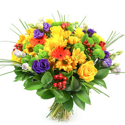 A generously rounded bouquet bursts into view against a clean white background, every colour and petal detail illuminated as though placed beneath a skylight in a New Barnet studio. The composition feels both abundant and intentional, with each flower thoughtfully positioned to balance texture and tone. Sunny yellow roses, their petals coiled in tight, elegant spirals, share centre stage with fluffy yellow chrysanthemums and smaller daisy-like blooms, together forming a radiant core that suggests optimism and good cheer. Around them, orange gerbera daisies and orange-toned daisy flowers extend smooth, elongated petals, their darker centres giving depth and a slight, graphic boldness that suits a modern North London home. Woven through this golden warmth are accents of deep purple lisianthus, some fully unfurled with delicate, layered petals, others still in slender buds edged with lavender and white, bringing a refined, almost romantic note. Vivid lime-green button chrysanthemums tuck into the gaps like playful beads, their tight, spherical shapes adding a fresh, contemporary rhythm. Between the blooms, clusters of glossy red hypericum berries offer a jewel-like sparkle, their rounded forms contrasting with the softness of the petals. The bouquet is cupped in a collar of lush, dark green foliage, likely Ruscus, whose broad leaves lend structure and a rich backdrop, while fine blades of ornamental grass arc outward, adding a gentle, airy movement. The stems are neatly gathered and tied, clearly visible at the base, suggesting a freshly prepared hand-tied design ready for same-day delivery across New Barnet, ideal for marking a heartfelt milestone, a joyful birthday, or a simple, bright thank-you.