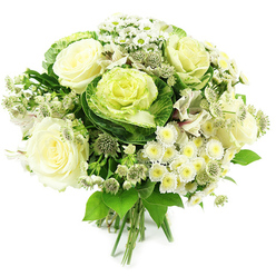 A contemporary hand-tied bouquet in shades of white, cream, and green is presented against a crisp white background, the clean setting allowing every flower to stand out as clearly as if it had just arrived on a doorstep off Station Road in New Barnet. Dominating the composition are several open white and ivory roses, their petals layered in soft spirals, creating a sense of quiet luxury and timeless romance. Cradled among them sit ornamental kale rosettes, their outer leaves a deep garden green that gradually shifts into a pale, ruffled centre of lime and soft yellow-green, introducing an unexpected, almost architectural twist to the design. Around these main blooms, delicate sprays of small white chrysanthemums and daisy-like flowers with pale yellow-green hearts form a gentle halo, lending the bouquet a cloud-like, almost weightless texture. Threaded through this softness are clusters of astrantia, each star-shaped head made of tiny pointed petals that bring an intricate, meadow-inspired detail. Subtle hints of white alstroemeria, some showing faint speckling and stripes, peek through the greenery, adding depth without breaking the calm, neutral palette. The foliage is abundant and fresh, with a mix of broader and slender leaves in rich green tones that frame the central flowers and give the arrangement a lush, garden-picked feel. All the stems are gathered tightly and tied at the base, clearly designed to slip straight into a glass vase in a New Barnet living room or to arrive as a refined sympathy, anniversary, or housewarming gift. The overall effect is cool, composed, and gently uplifting, like a breath of fresh air after a walk through nearby Monken Hadley Common.