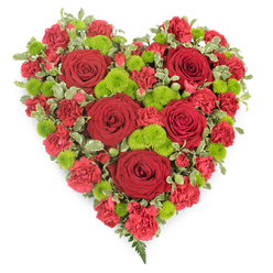 A deeply expressive, heart-shaped floral arrangement is presented against a clean white background, its colours and textures carefully chosen to convey tenderness and respect, much like the thoughtful tributes often sent to services in and around New Barnet. The heart is completely filled with flowers, creating a plush, almost velvet-like surface. Dominating the design are several large, classic red roses, their petals tightly layered in the centre and gradually loosening into softer curves at the edges, each bloom suggesting a treasured memory or a moment of love. Around them, a generous collar of red mini carnations and spray carnations adds fullness, the small, frilled petals overlapping to create a rich, quilted effect. These carnations wrap around the roses and help define the strong heart outline, their scarlet tones echoing the emotional weight of the tribute. Punctuating the red, clusters of vivid lime-green button chrysanthemums sit like tiny lanterns of light, their rounded, textured heads brightening the design and symbolising renewal and hope. Interwoven among the blooms, pieces of variegated green-and-cream pittosporum foliage form a subtle, decorative border, giving the heart a crisp, tidy silhouette that stands out clearly against the background. At the tapered tip of the heart, a small spray of fine, fern-like greenery extends gently, adding a touch of natural grace reminiscent of peaceful walks through nearby Monken Hadley Common. This arrangement feels ideal for a funeral, memorial, or cremation service, a heartfelt way to express sympathy, love, and remembrance while bringing a sense of living colour and calm to a chapel or family gathering in the New Barnet community.