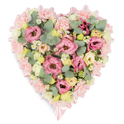 A softly radiant heart-shaped funeral tribute is shown on a clean white background, its colours and textures combining to convey gentle remembrance and affection, as if created for a quiet service in New Barnet. The heart is edged with a fine band of pale pink satin ribbon, neatly folded and tied into small, elegant bows at the upper and lower points, adding a touch of ceremony and care. Within this outline, the entire surface is richly packed with pastel blooms so that no gaps of space remain, only a continuous carpet of petals and foliage. Ruffled pink lisianthus and frilly, light blush carnations dominate the design, their layers of petals spilling into one another to create a soft, cloud-like effect. Nestled among these are sprays of creamy yellow and ivory-toned miniature roses, opening in gentle clusters that add light and warmth to the arrangement. Scattered daisy-like flowers with clean white petals and golden centres echo the simplicity of wildflowers one might see near Monken Hadley Common, bringing a sense of natural innocence and purity. The flowers are interwoven with rounded, silvery eucalyptus leaves and darker green, variegated foliage, the cool greens and slightly waxy textures providing contrast and structure. The overall palette is muted and calm, ideal for expressing sympathy without overwhelming the senses. Designed by a skilled local florist who understands the needs of families around the High Barnet and New Barnet area, this heart-shaped wreath makes a serene and meaningful tribute for funerals, memorials, or to accompany a condolence message, symbolising both love and the gentle act of saying goodbye.