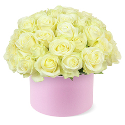 In this image, a generously filled round hat box of roses commands attention, radiating calm luxury and gentle romance. The arrangement is composed of countless tightly clustered roses in shades of soft cream and pale ivory, their velvety petals unfolding in neat, symmetrical spirals. Hints of the palest pastel yellow are visible at the centres of some blooms, giving the dome a subtle depth, like morning light just breaking through clouds over the rooftops of New Barnet. Each rose is carefully placed so that their open faces form an almost seamless cushion of petals, creating a plush, domed silhouette that rises proudly from the top of the container. A sliver of delicate green foliage peeks out along the base of the blooms, providing just enough greenery to frame the flowers without distracting from their understated palette. The hat box itself is a smooth, round cylinder in a soft pastel pink, with a matte, refined finish that suggests premium quality gift wrap rather than a simple container. Its blush hue adds warmth to the cool cream of the roses, evoking the tender sentiment behind an anniversary surprise or a thoughtful same-day delivery to a home near New Barnet's quiet residential streets. Set against a crisp white background, the arrangement appears almost sculptural, every petal and curve clearly outlined. The overall impression is one of polished sophistication and deep affection, as though a skilled local florist has distilled the feeling of being cherished into a single, timeless gift box ready to be delivered to a doorstep in New Barnet.