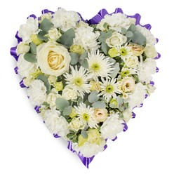 A generously filled, heart-shaped floral tribute is shown against a bright white background, its gentle colours and textures forming a quiet focus of calm. In the very centre, a single creamy white rose sits like a candle of remembrance, its velvety petals spiralling outwards with serene precision. From this point, layers of pristine white carnations expand across the heart, each ruffled bloom overlapping the next to create a soft, quilted surface that feels comforting and protective. Slim, spiky white chrysanthemums and daisy-like flowers are woven throughout, their pale green eyes and fine petals adding sparkle and lively texture to the otherwise tranquil palette. Tiny cream rosebuds and clusters of tender filler flowers give a sense of unfolding stories and cherished memories, as if each bud holds a moment from a well-loved life in New Barnet. Between the blossoms, eucalyptus foliage in muted blue-green tones curves gently, bringing organic depth and the suggestion of a cool, clean fragrance. Around the entire edge, a rich purple ribbon is gathered into delicate pleats, tracing the heart's outline with a scalloped border that feels both respectful and reassuring. The contrast between the deep purple trim and the luminous whites inside the heart lends the piece a quiet formality suited to a chapel of rest or local church service. The arrangement appears slightly domed, as though the flowers have been carefully layered to create a soft cushion of sympathy. It's the sort of design a local florist near New Barnet station might prepare when a family wants to send a message of love, dignity, and gentle farewell through flowers rather than words.