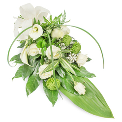 An elegant, elongated floral sheaf in muted whites and lively greens, photographed on a bright white background to emphasize its pure, composed lines. Several creamy white roses form the heart of the design, their layered petals opening like quiet breaths, while two pristine calla lilies arch with sculptural simplicity, offering a calm focal point. Scattered among these are spherical, lime-green chrysanthemums - small, textured buttons that add a playful yet tasteful contrast against the soft whites. Fine sprays of baby's breath nestle between the larger blooms, creating a mist-like softness that lightens the overall weight and lends a tender, almost whispered quality. The foliage work is substantial and textural; deep glossy greens provide a solid base, variegated leaves with crisp white veins add depth, and feathery fern tips soften the top edges. Two long, narrow blades of bright green foliage sweep across the arrangement, creating a sense of motion and a contemporary arc, and the composition narrows to a smooth, bright green tropical leaf at its tapered end. A gentle cream ribbon bow at the upper left gives a respectful, finished look. The arrangement has the restrained dignity of a sympathy piece and the refined touch of a neighbourhood florist - a comforting choice for families in New Barnet, East Barnet, and nearby streets recalling quiet mornings around New Barnet station.