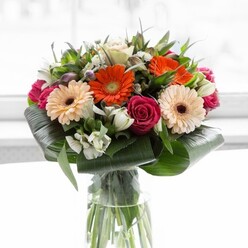 Presented in a tall, clear glass vase, this bouquet channels the vibrant energy of New Barnet, blending artistry and nature with every bloom. Dominating the ensemble are four striking gerbera daisies-two ablaze in tangerine orange and two shimmering in tender peach, each boasting a deep brown heart, drawing attention with cheerful brightness. Rich fuchsia roses, their petals tightly held, add a sophisticated air, their saturated color reminiscent of evening skies over Trent Park. Delicate white alstroemeria and miniature spray roses are dispersed throughout, bringing in subtle lightness and intricate texture, while soft blush-pink accents and wispy white flowers weave an undertone of romance. Surrounding the vibrant petals, layers of sturdy, paddle-shaped aspidistra leaves are gracefully wrapped, providing a protective emerald frame. Pointed greenery and slender shoots infuse the bouquet with lively contrast. The background, softly illuminated, accentuates every hue and structure, ensuring the flowers remain the undisputed stars. There is a freshness here, as if just gathered from a morning stroll through one of New Barnet's tranquil parks. This arrangement is equally at home on an Oakleigh Road dining table or brightening the reception of a beloved local business, perfect for celebrations, anniversaries, or simply bringing a smile to someone's afternoon. The bouquet captures the spirit of Flowers New Barnet-expertly crafted, elegant, and filled with heartfelt intent.