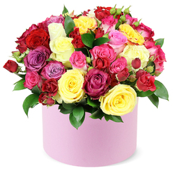 From a sunlit corner of New Barnet, this radiant hat box arrangement unfolds as a heartfelt message of celebration. The roses gather in a dense, dome-shaped cluster, their petals catching light in a way that makes the colors feel almost edible: deep crimson, bright sunflower yellow, vibrant fuchsia, soft pastel pink, elegant magenta, delicate lavender, and creamy white. Between them, spray roses supply smaller bursts of color, while larger blooms open with curling petals that invite a touch. Dark green leaves peek through, their waxy sheen intensifying the bouquet's freshness. The round pastel pink container, with its smooth matte finish, adds a chic, contemporary frame to the riot of color. The overall effect is both structured and inviting, a balance of artful design and warm generosity. The scent of fresh roses threads through the air, a hint of sweetness that heightens the mood of any room. This piece feels tailor-made for birthdays, anniversaries, or a heartfelt Valentine's surprise, with the local touch of a New Barnet florist ensuring careful assembly. Available for delivery across EN5, the bouquet brightens homes along Oakleigh Road, Whetstone, and the High Street, delivering joy to loved ones in a few hours or the same day when possible.
